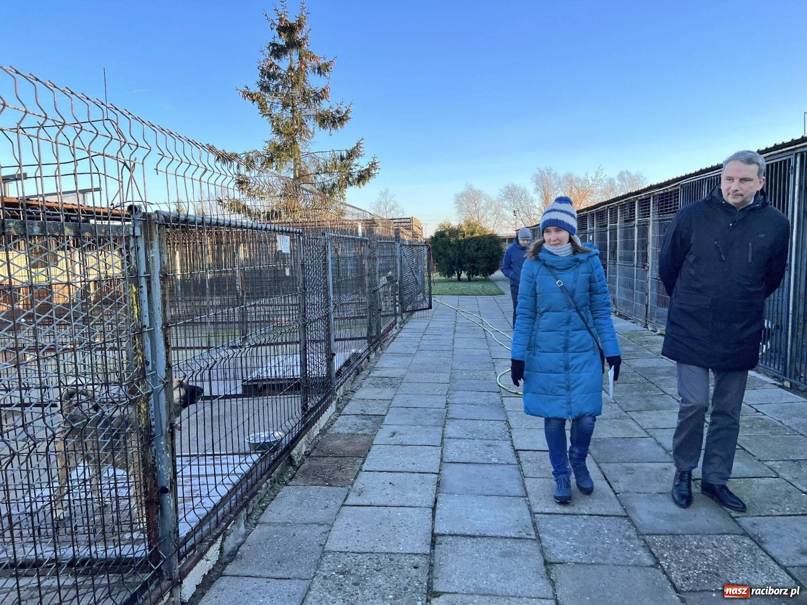 Zdjęcie w galerii na portalu naszraciborz.pl: Racibórz bez schroniska dla bezdomnych zwierząt? wiadomości z regionu