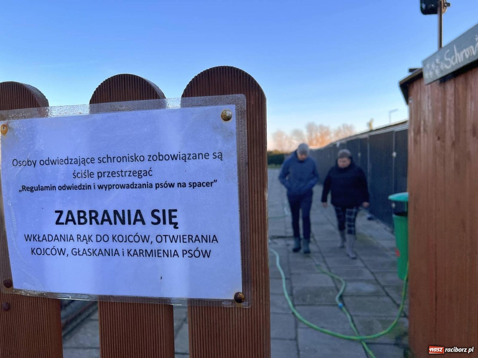 Zdjęcie w galerii na portalu naszraciborz.pl: Racibórz bez schroniska dla bezdomnych zwierząt? wiadomości z regionu