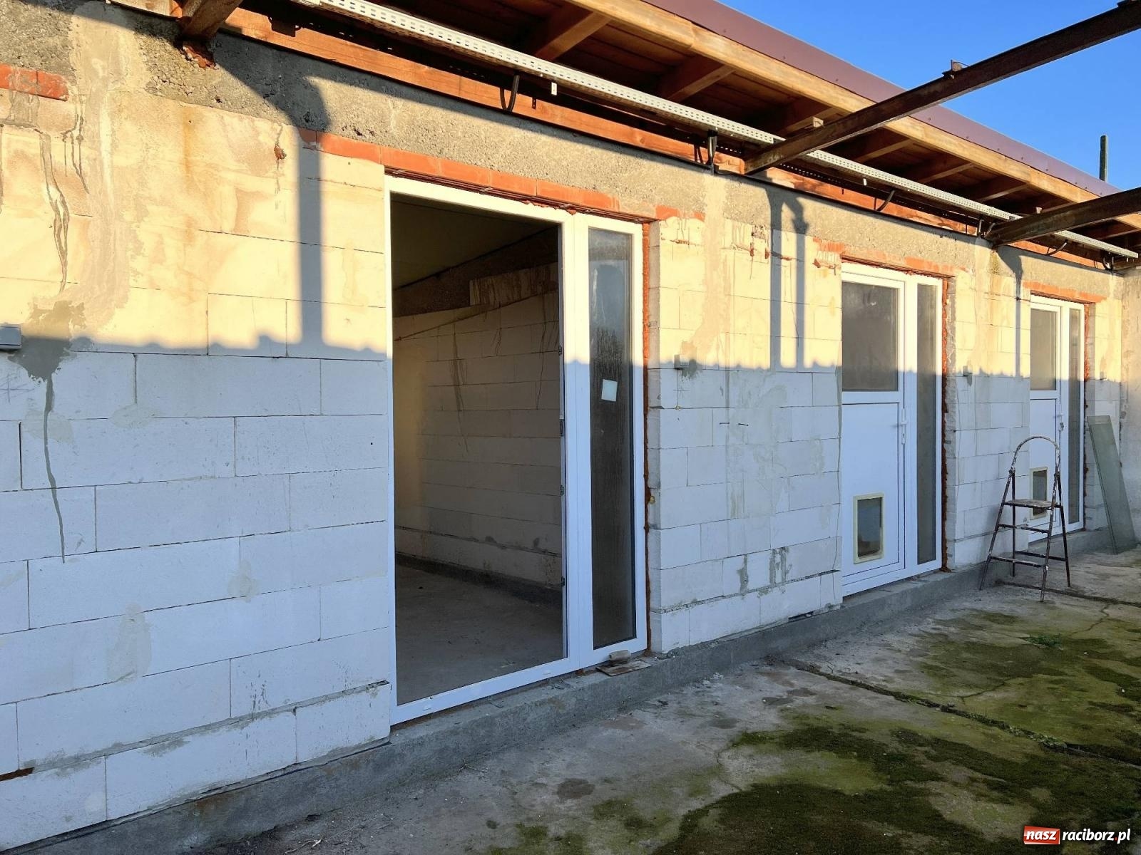 Zdjęcie w galerii na portalu naszraciborz.pl: Racibórz bez schroniska dla bezdomnych zwierząt? wiadomości z regionu