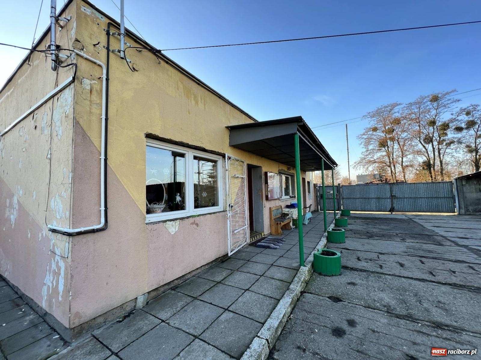 Zdjęcie w galerii na portalu naszraciborz.pl: Racibórz bez schroniska dla bezdomnych zwierząt? wiadomości z regionu