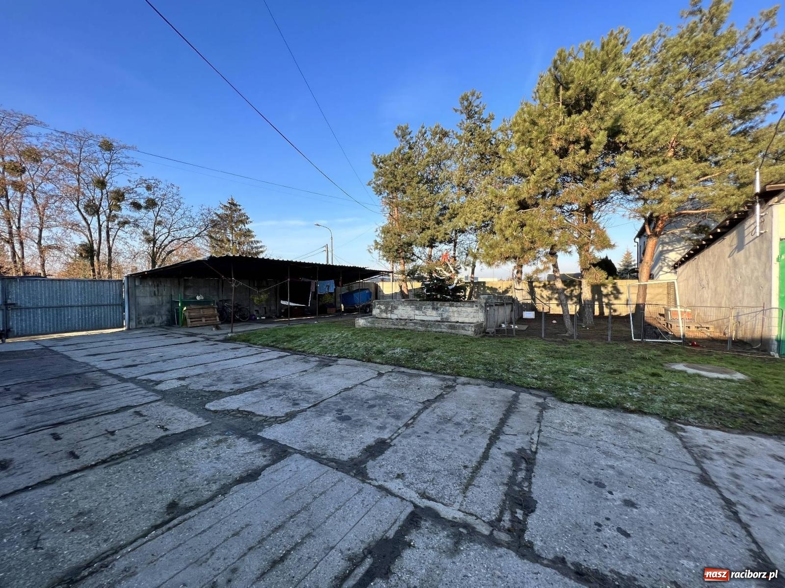 Zdjęcie w galerii na portalu naszraciborz.pl: Racibórz bez schroniska dla bezdomnych zwierząt? wiadomości z regionu