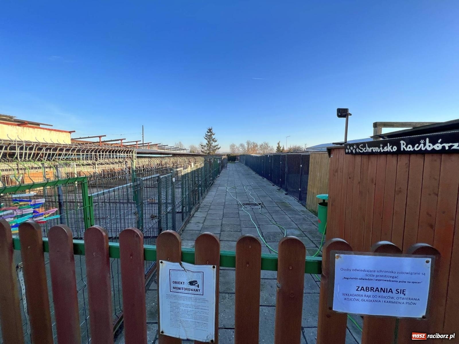 Zdjęcie w galerii na portalu naszraciborz.pl: Racibórz bez schroniska dla bezdomnych zwierząt? wiadomości z regionu