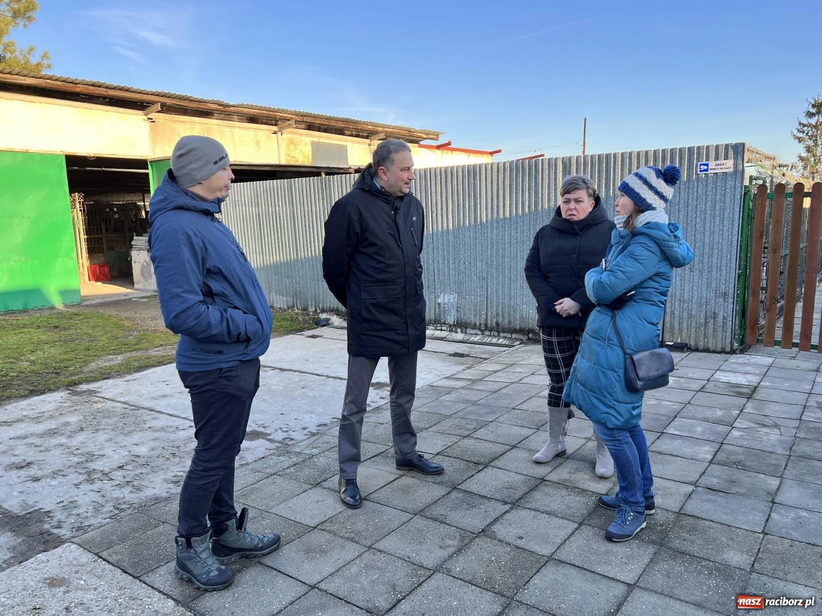 Zdjęcie w galerii na portalu naszraciborz.pl: Racibórz bez schroniska dla bezdomnych zwierząt? wiadomości z regionu