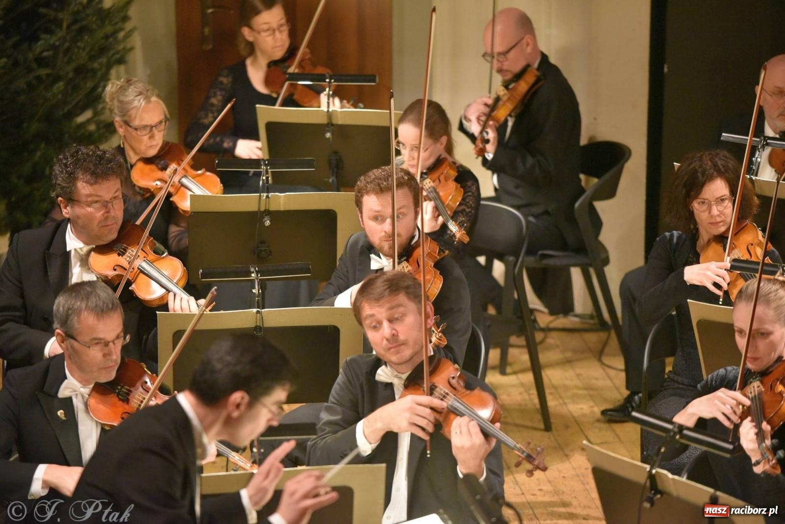 Zdjęcie w galerii na portalu naszraciborz.pl: Raciborski koncert noworoczny. Filharmonicy ostrawscy wypełnili RCK [FOTO i WIDEO] wiadomości z regionu