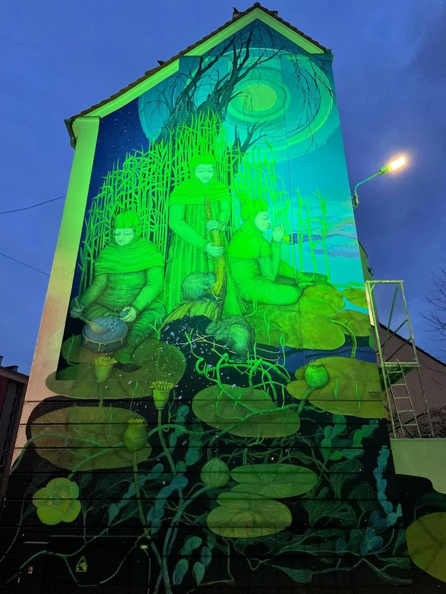 Zdjęcie w galerii na portalu naszraciborz.pl: Mona Tusz, Łężczok i esencja Raciborza. Mural oficjalnie oddany wiadomości z regionu