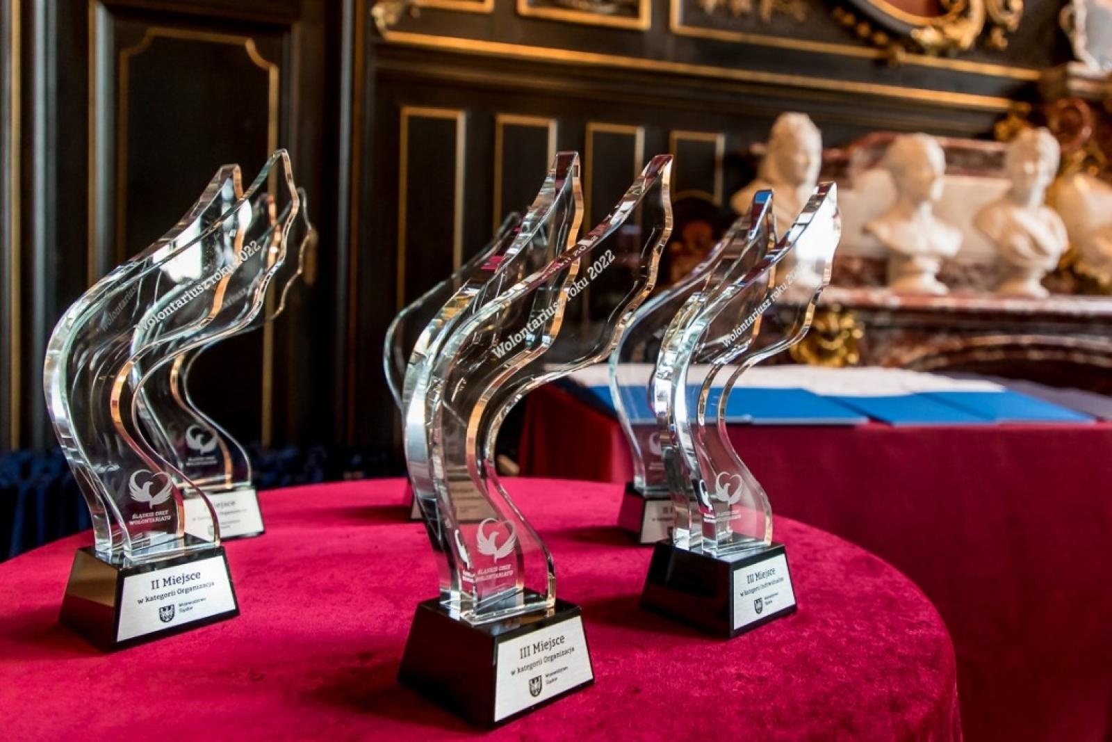 Zdjęcie w galerii na portalu naszraciborz.pl: Śląskie Orły Wolontariatu z raciborskim akcentem wiadomości z regionu