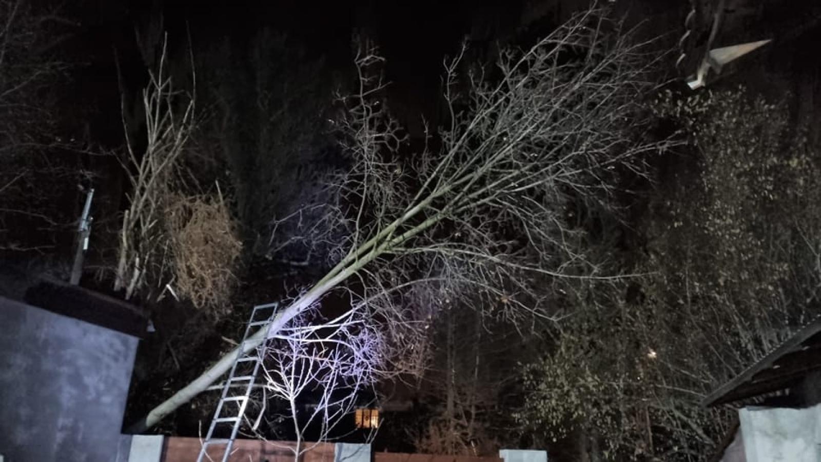 Zdjęcie w galerii na portalu naszraciborz.pl: Bobry przyczyną strażackiej interwencji wiadomości z regionu