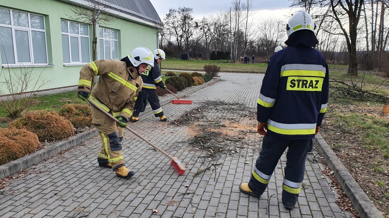 Zdjęcie w galerii na portalu naszraciborz.pl: Bobry przyczyną strażackiej interwencji wiadomości z regionu