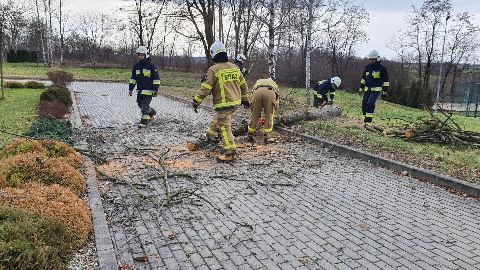 Zdjęcie w galerii na portalu naszraciborz.pl: Bobry przyczyną strażackiej interwencji wiadomości z regionu