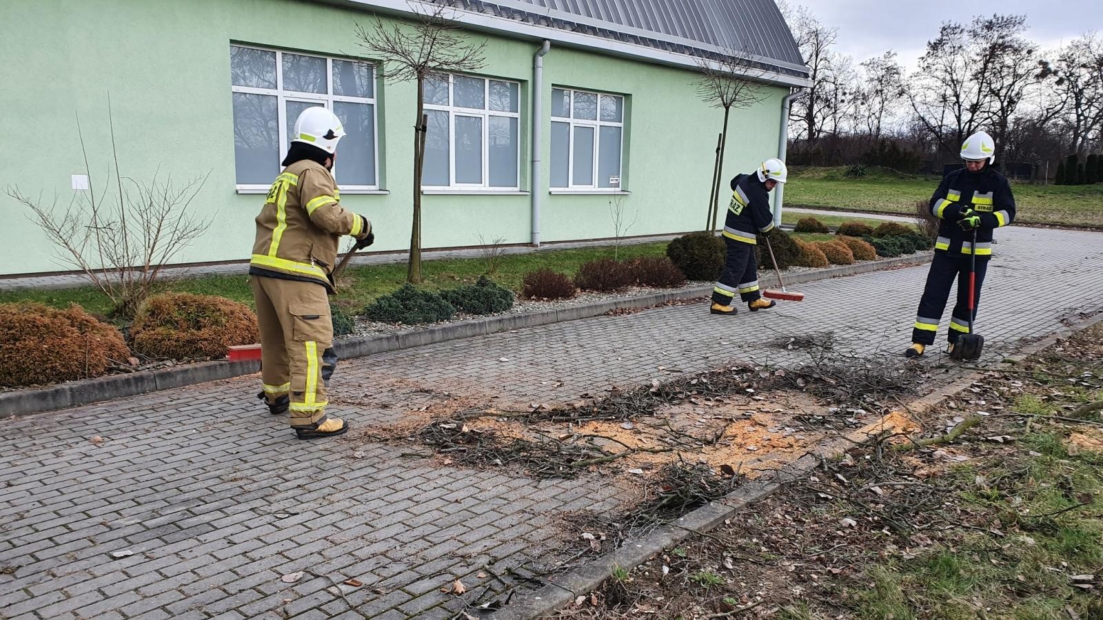 Zdjęcie w galerii na portalu naszraciborz.pl: Bobry przyczyną strażackiej interwencji wiadomości z regionu