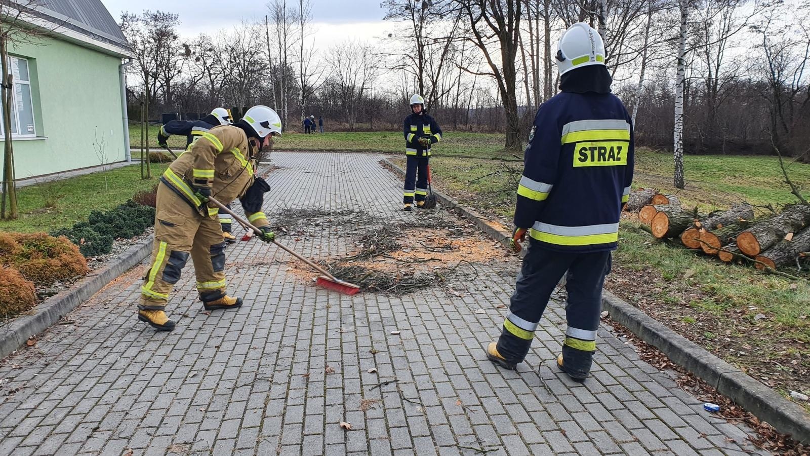 Zdjęcie w galerii na portalu naszraciborz.pl: Bobry przyczyną strażackiej interwencji wiadomości z regionu