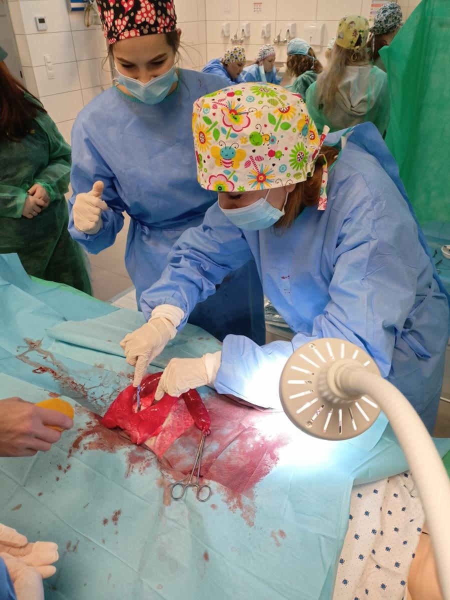 Zdjęcie w galerii na portalu naszraciborz.pl: Raciborscy uczniowie szkół średnich poznali MCSM w Raciborzu wiadomości z regionu