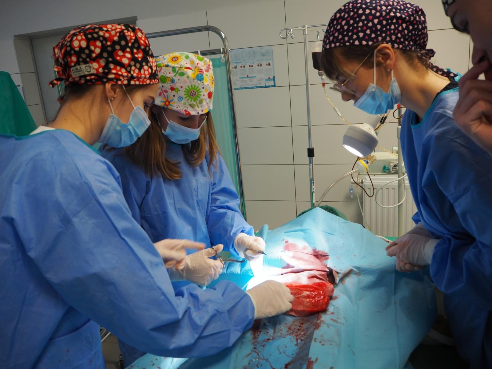 Zdjęcie w galerii na portalu naszraciborz.pl: Raciborscy uczniowie szkół średnich poznali MCSM w Raciborzu wiadomości z regionu