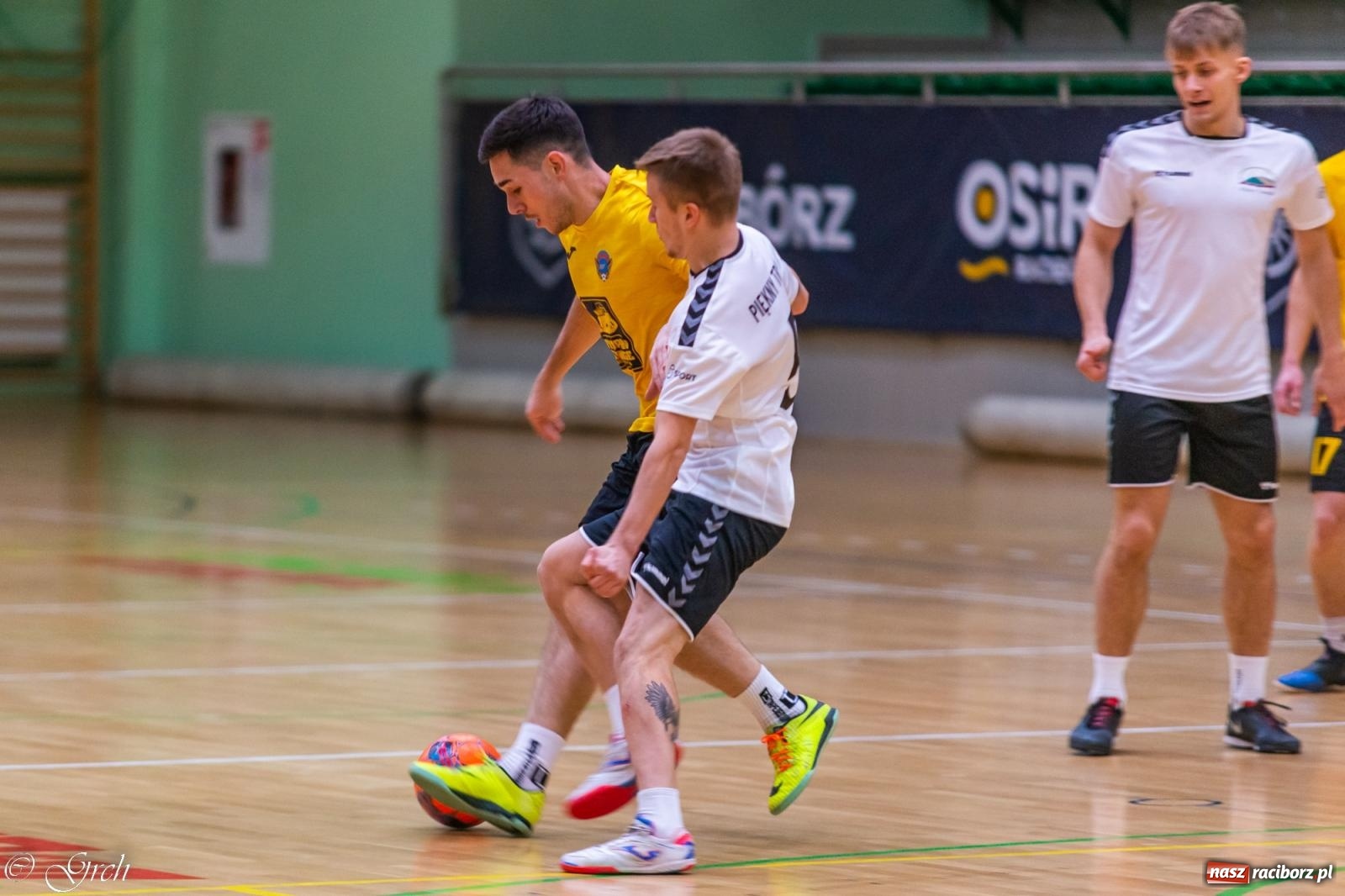 Zdjęcie w galerii na portalu naszraciborz.pl: Pierwszoligowe emocje w HLPN [FOTO] wiadomości z regionu