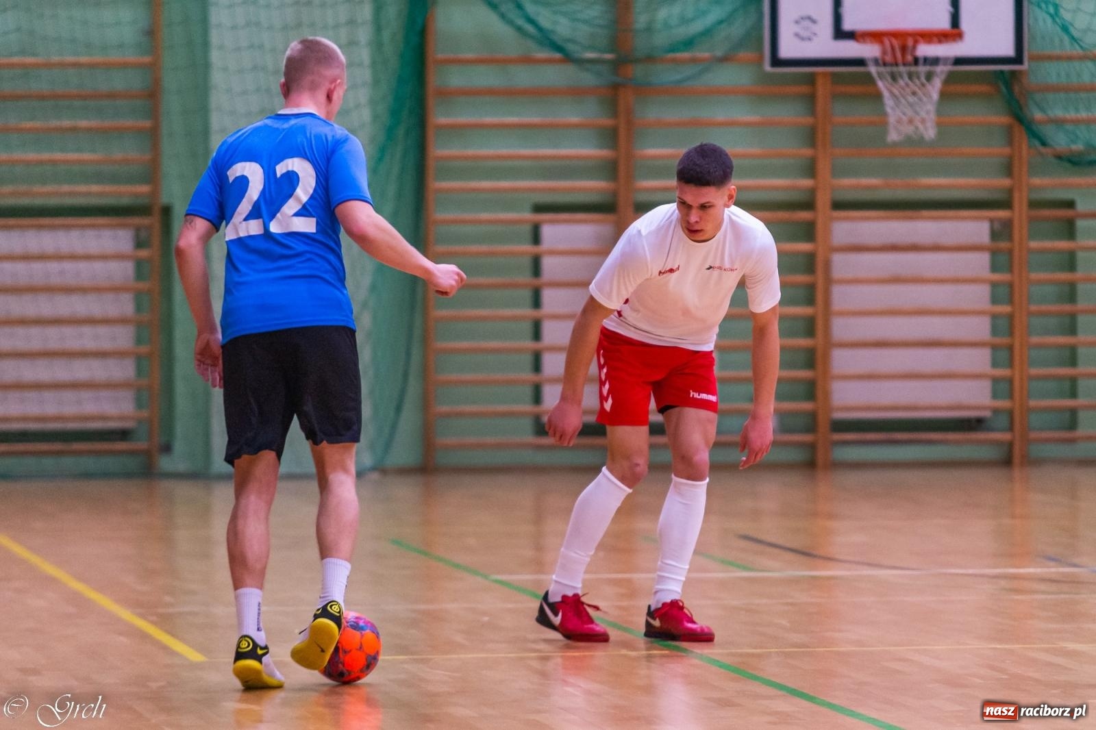 Zdjęcie w galerii na portalu naszraciborz.pl: Pierwszoligowe emocje w HLPN [FOTO] wiadomości z regionu