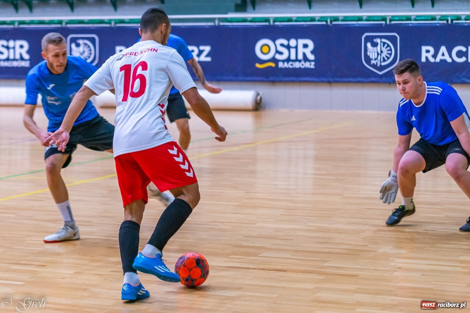 Zdjęcie w galerii na portalu naszraciborz.pl: Pierwszoligowe emocje w HLPN [FOTO] wiadomości z regionu