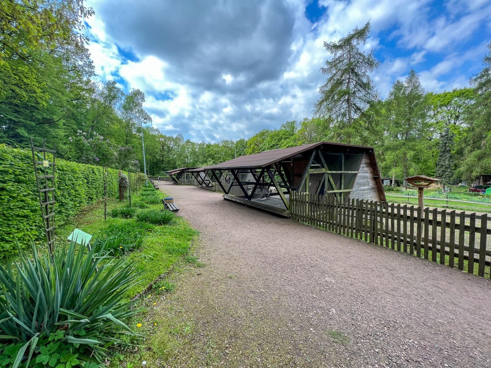 Zdjęcie w galerii na portalu naszraciborz.pl: Większe, bardziej zielone i z alpakami. Takie ma być nowe zoo w Raciborzu [WIDEO] wiadomości z regionu