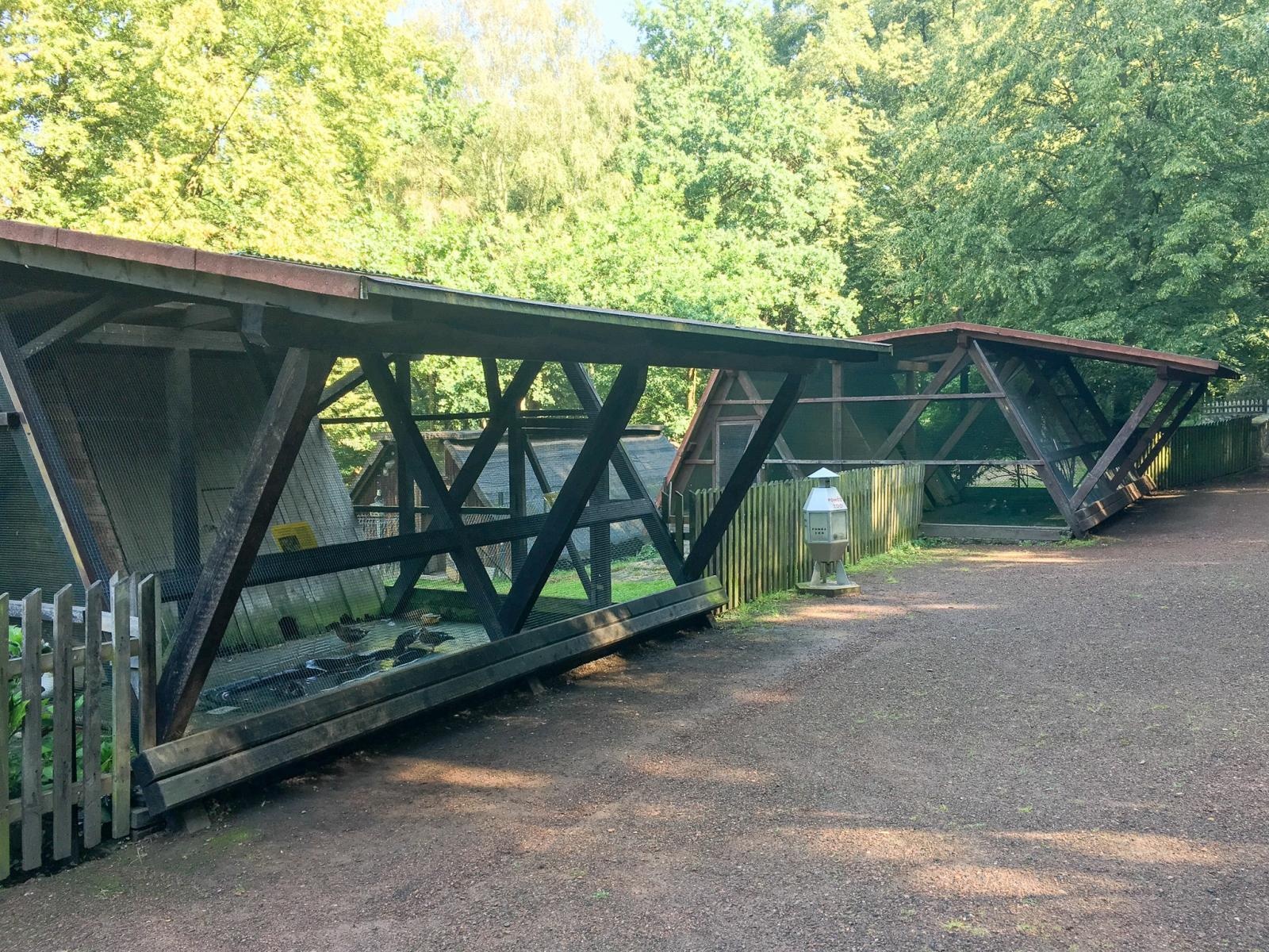 Zdjęcie w galerii na portalu naszraciborz.pl: Większe, bardziej zielone i z alpakami. Takie ma być nowe zoo w Raciborzu [WIDEO] wiadomości z regionu