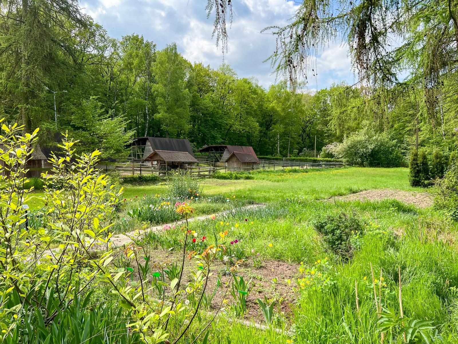 Zdjęcie w galerii na portalu naszraciborz.pl: Większe, bardziej zielone i z alpakami. Takie ma być nowe zoo w Raciborzu [WIDEO] wiadomości z regionu