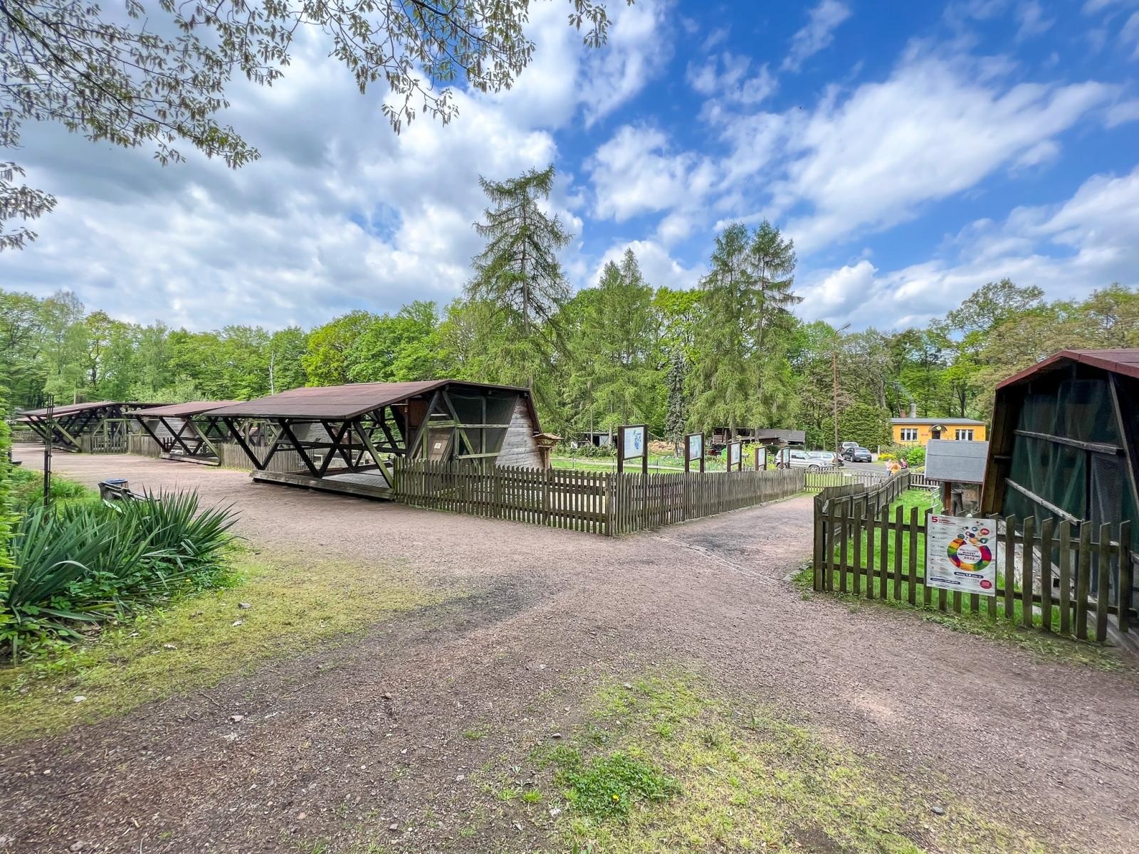 Zdjęcie w galerii na portalu naszraciborz.pl: Większe, bardziej zielone i z alpakami. Takie ma być nowe zoo w Raciborzu [WIDEO] wiadomości z regionu