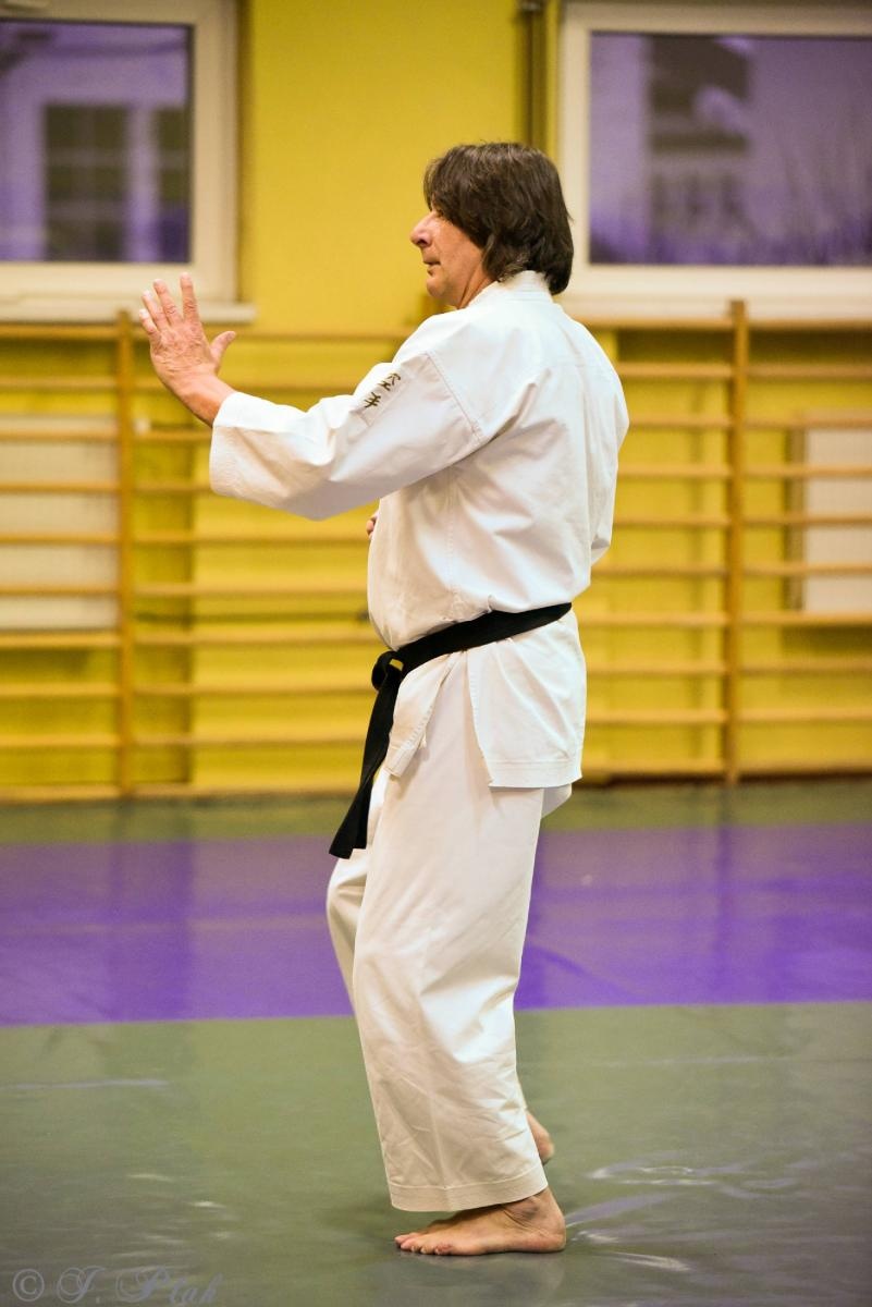 Zdjęcie w galerii na portalu naszraciborz.pl: Jubileuszowe KanGeiko dojo w Raciborzu [FOTO i WIDEO] wiadomości z regionu