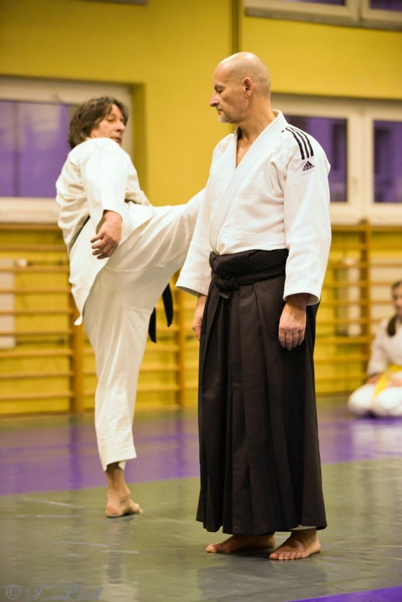 Zdjęcie w galerii na portalu naszraciborz.pl: Jubileuszowe KanGeiko dojo w Raciborzu [FOTO i WIDEO] wiadomości z regionu