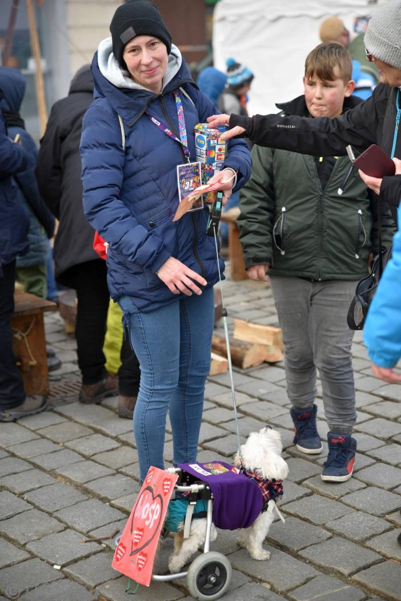 Zdjęcie w galerii na portalu naszraciborz.pl: Racibórz na żywo w TVN. Orkiestra gra na Rynku [FOTO i WIDEO] wiadomości z regionu