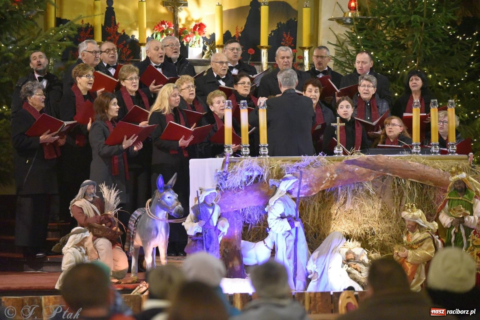 Zdjęcie w galerii na portalu naszraciborz.pl: Koncert kolędowy w okrąglaku. W kościołach kończy się okres bożonarodzeniowy [FOTO i WIDEO] wiadomości z regionu
