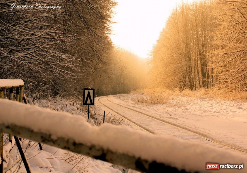 Zdjęcie w galerii na portalu naszraciborz.pl: Zimowe pejzaże w obiektywie czytelników wiadomości z regionu