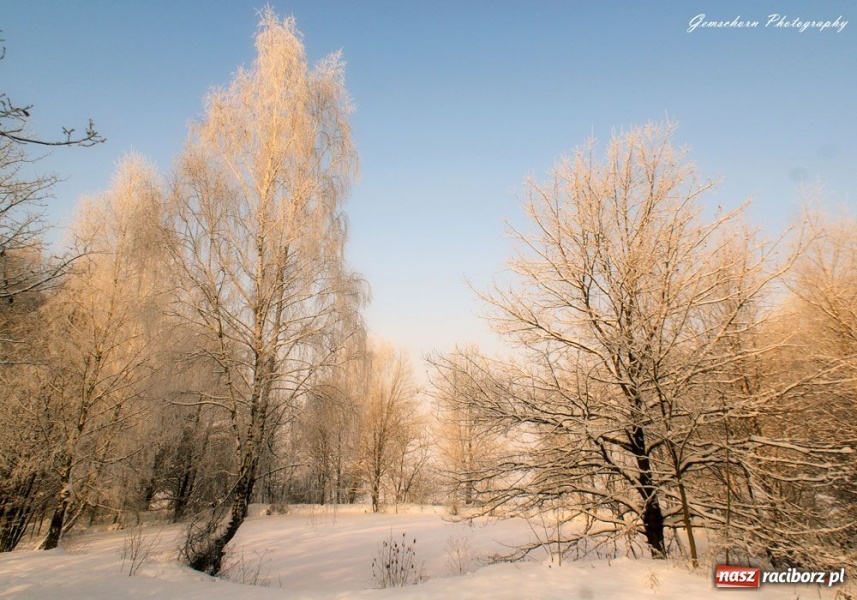 Zdjęcie w galerii na portalu naszraciborz.pl: Zimowe pejzaże w obiektywie czytelników wiadomości z regionu