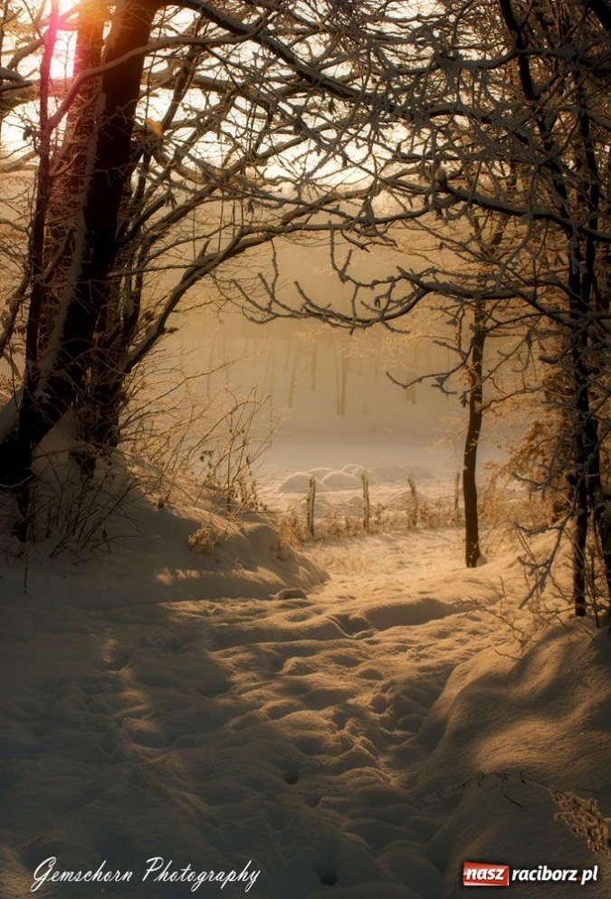 Zdjęcie w galerii na portalu naszraciborz.pl: Zimowe pejzaże w obiektywie czytelników wiadomości z regionu