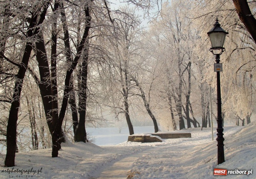 Zdjęcie w galerii na portalu naszraciborz.pl: Zimowe pejzaże w obiektywie czytelników wiadomości z regionu