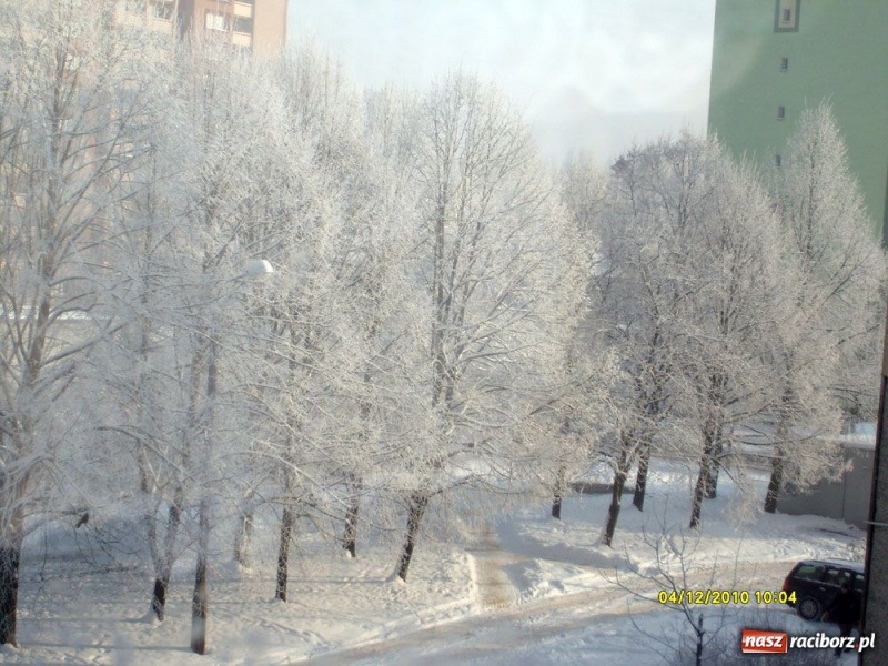 Zdjęcie w galerii na portalu naszraciborz.pl: Zimowe pejzaże w obiektywie czytelników wiadomości z regionu