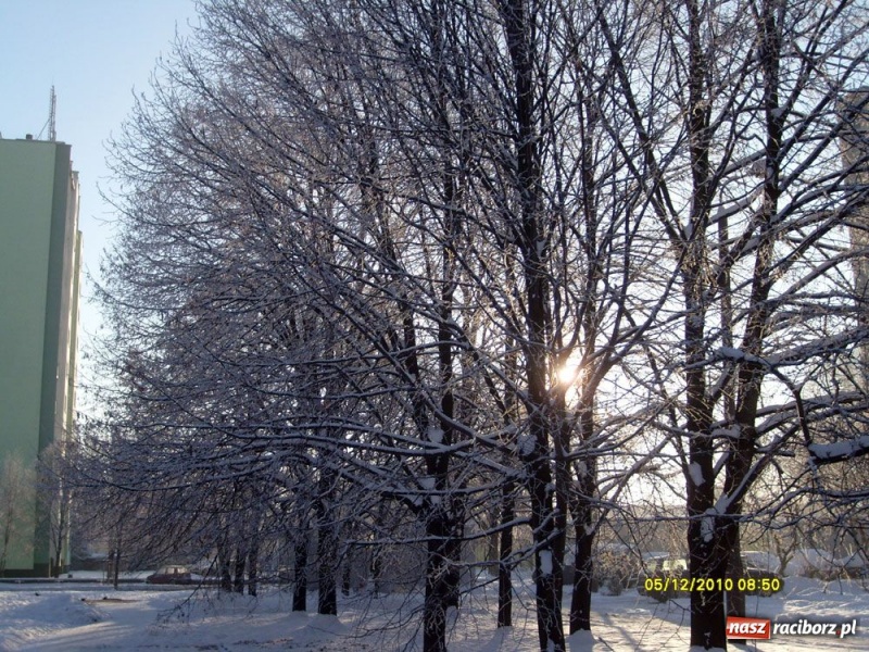 Zdjęcie w galerii na portalu naszraciborz.pl: Zimowe pejzaże w obiektywie czytelników wiadomości z regionu