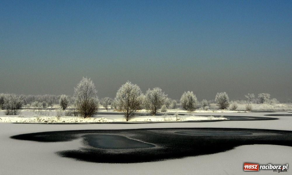 Zdjęcie w galerii na portalu naszraciborz.pl: Zimowe pejzaże w obiektywie czytelników wiadomości z regionu