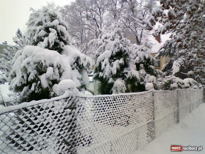 Zdjęcie w galerii na portalu naszraciborz.pl: Zimowe pejzaże w obiektywie czytelników wiadomości z regionu