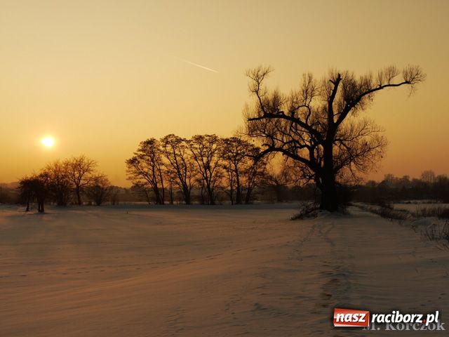 Zdjęcie w galerii na portalu naszraciborz.pl: Zimowe pejzaże w obiektywie czytelników wiadomości z regionu