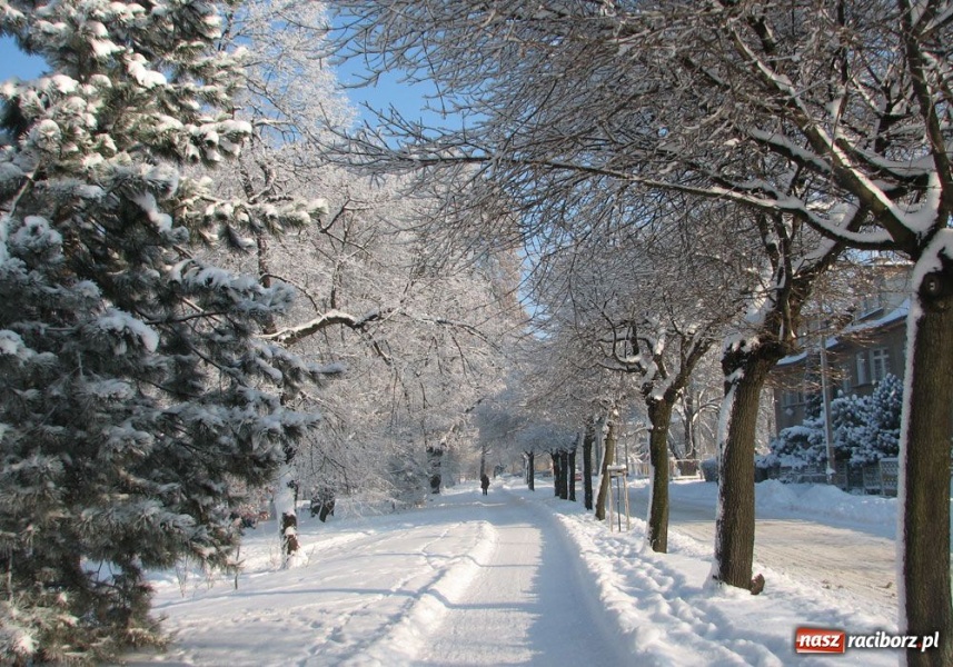 Zdjęcie w galerii na portalu naszraciborz.pl: Zimowe pejzaże w obiektywie czytelników wiadomości z regionu