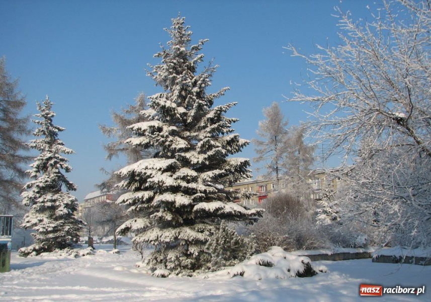Zdjęcie w galerii na portalu naszraciborz.pl: Zimowe pejzaże w obiektywie czytelników wiadomości z regionu