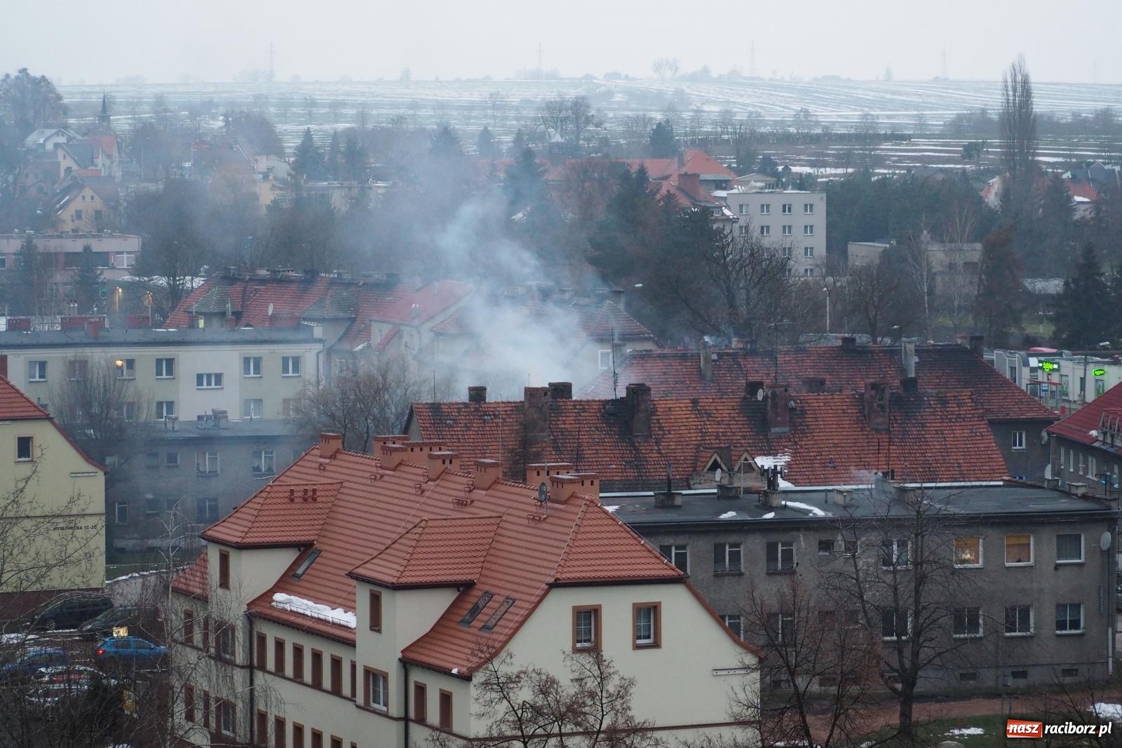 Zdjęcie w galerii na portalu naszraciborz.pl: W Raciborzu grasuje podpalacz śmietników? [FOTO] wiadomości z regionu
