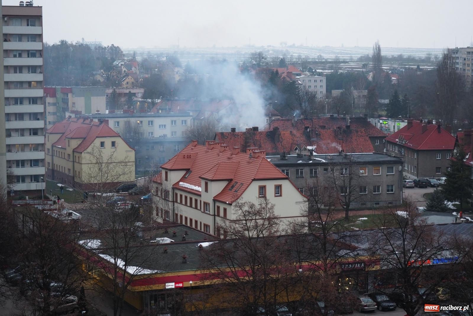 Zdjęcie w galerii na portalu naszraciborz.pl: W Raciborzu grasuje podpalacz śmietników? [FOTO] wiadomości z regionu