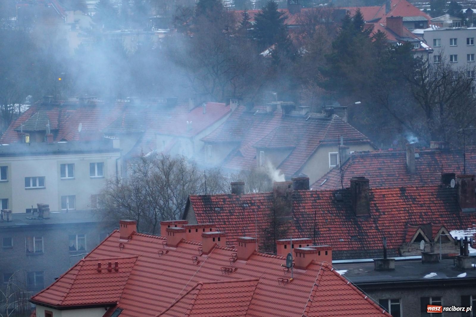 Zdjęcie w galerii na portalu naszraciborz.pl: W Raciborzu grasuje podpalacz śmietników? [FOTO] wiadomości z regionu