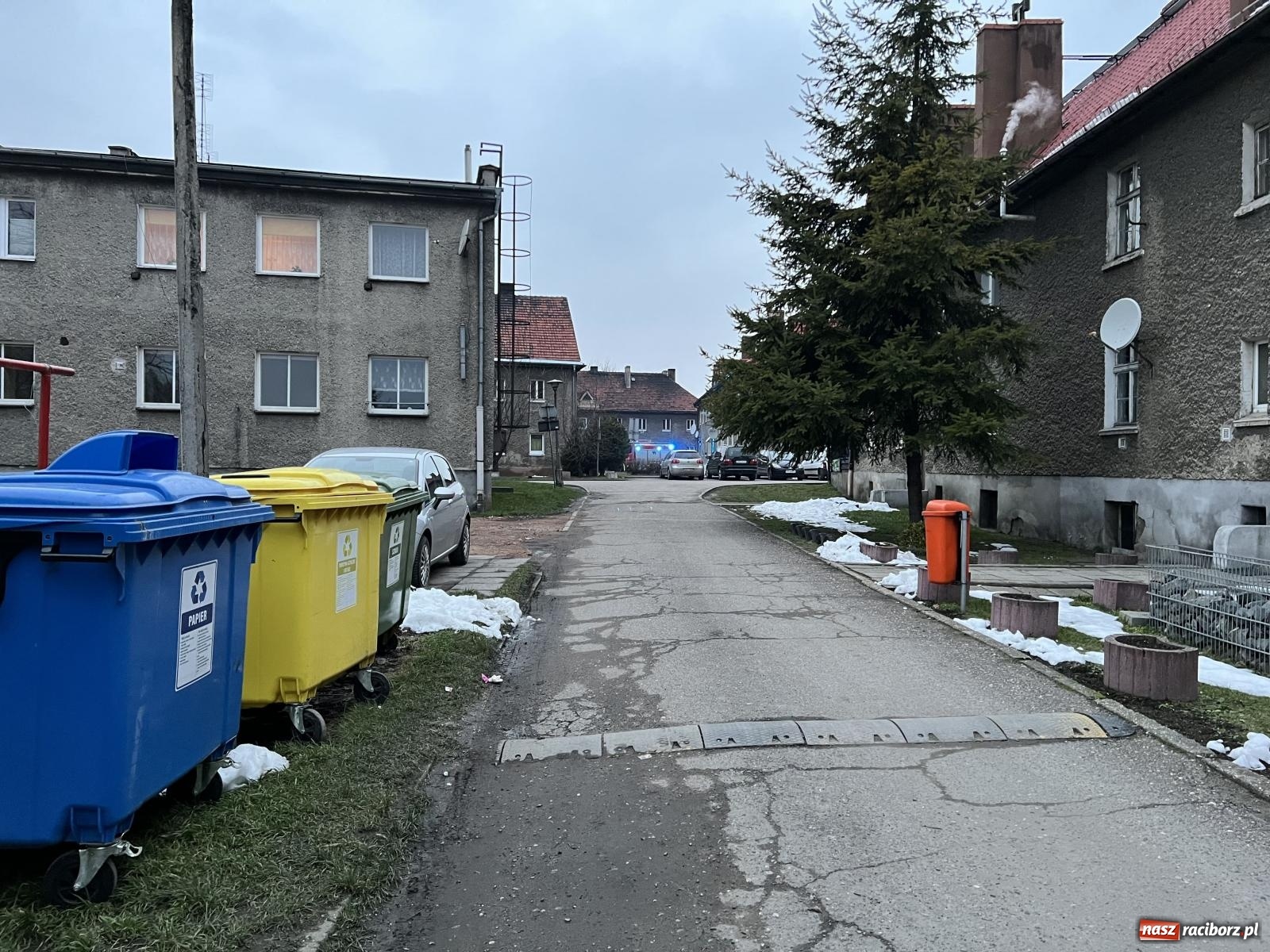 Zdjęcie w galerii na portalu naszraciborz.pl: W Raciborzu grasuje podpalacz śmietników? [FOTO] wiadomości z regionu