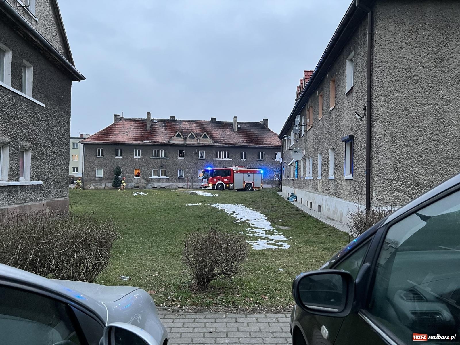 Zdjęcie w galerii na portalu naszraciborz.pl: W Raciborzu grasuje podpalacz śmietników? [FOTO] wiadomości z regionu
