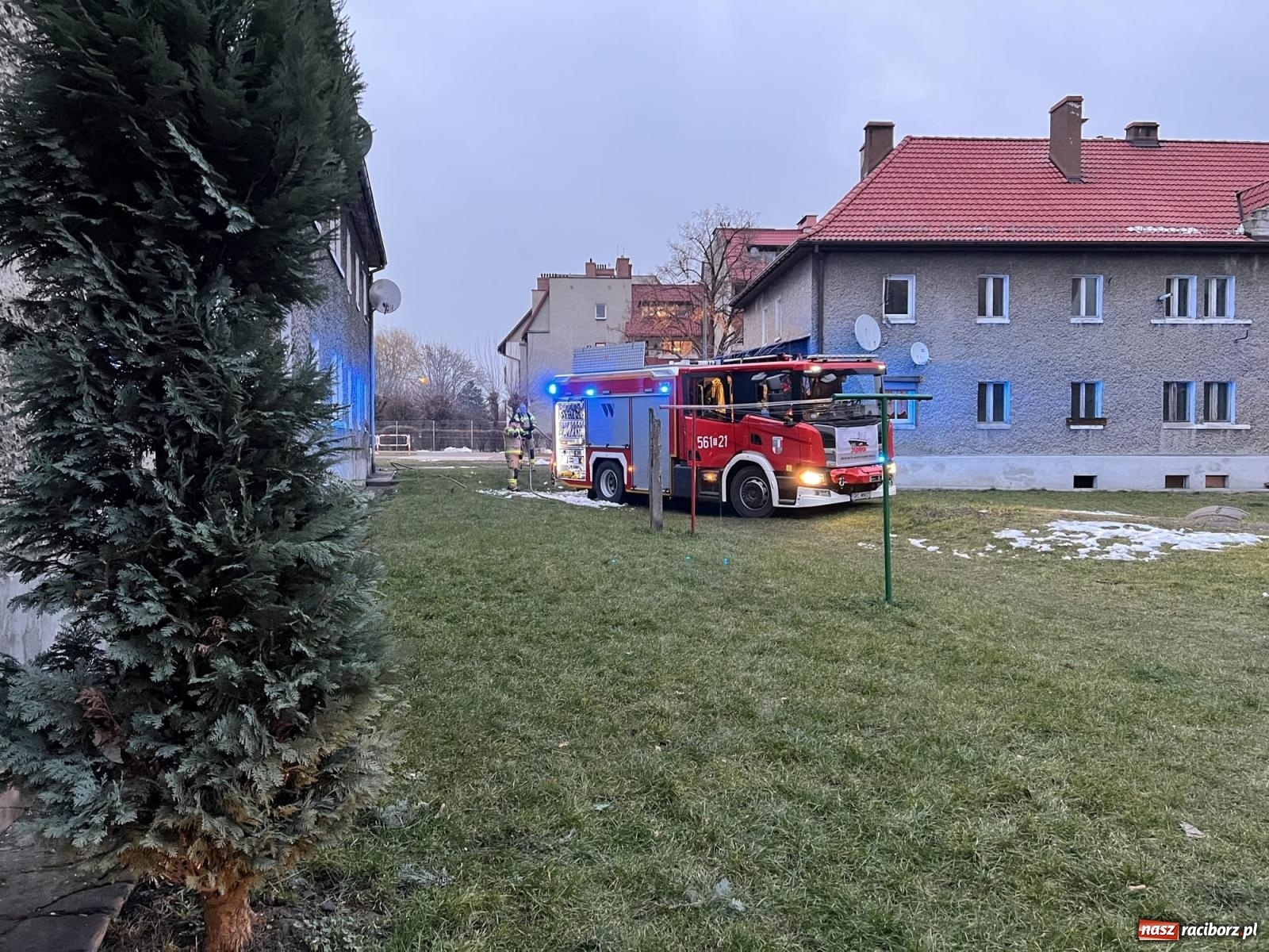 Zdjęcie w galerii na portalu naszraciborz.pl: W Raciborzu grasuje podpalacz śmietników? [FOTO] wiadomości z regionu