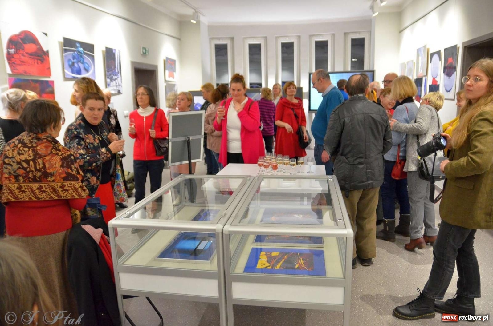 Zdjęcie w galerii na portalu naszraciborz.pl: Krajobrazy wektorowe Marka Furmanowicza [FOTO z WERNISAŻU] wiadomości z regionu