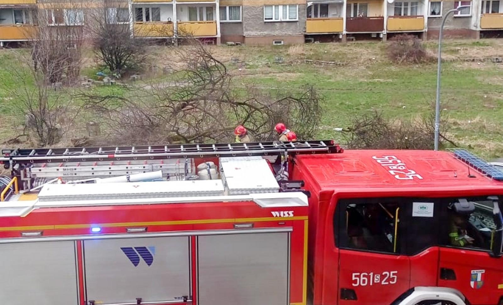 Zdjęcie w galerii na portalu naszraciborz.pl: Nocna wichura nad powiatem raciborskim. Zagrożenie życia w Lasakach wiadomości z regionu
