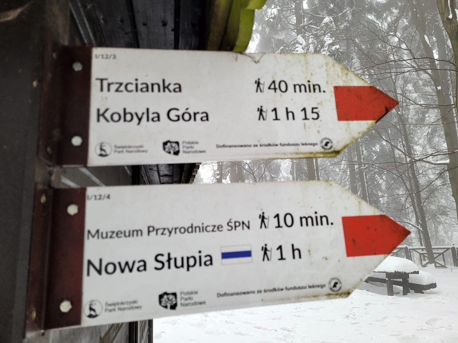 Zdjęcie w galerii na portalu naszraciborz.pl: Wędrowcy z raciborskiego PTTK wkroczyli w nowy sezon wiadomości z regionu