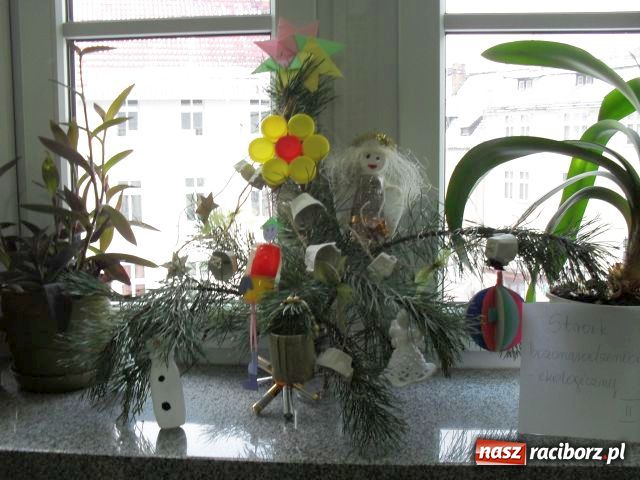 Zdjęcie w galerii na portalu naszraciborz.pl: W SP4 stanęły ekologiczne choinki wiadomości z regionu