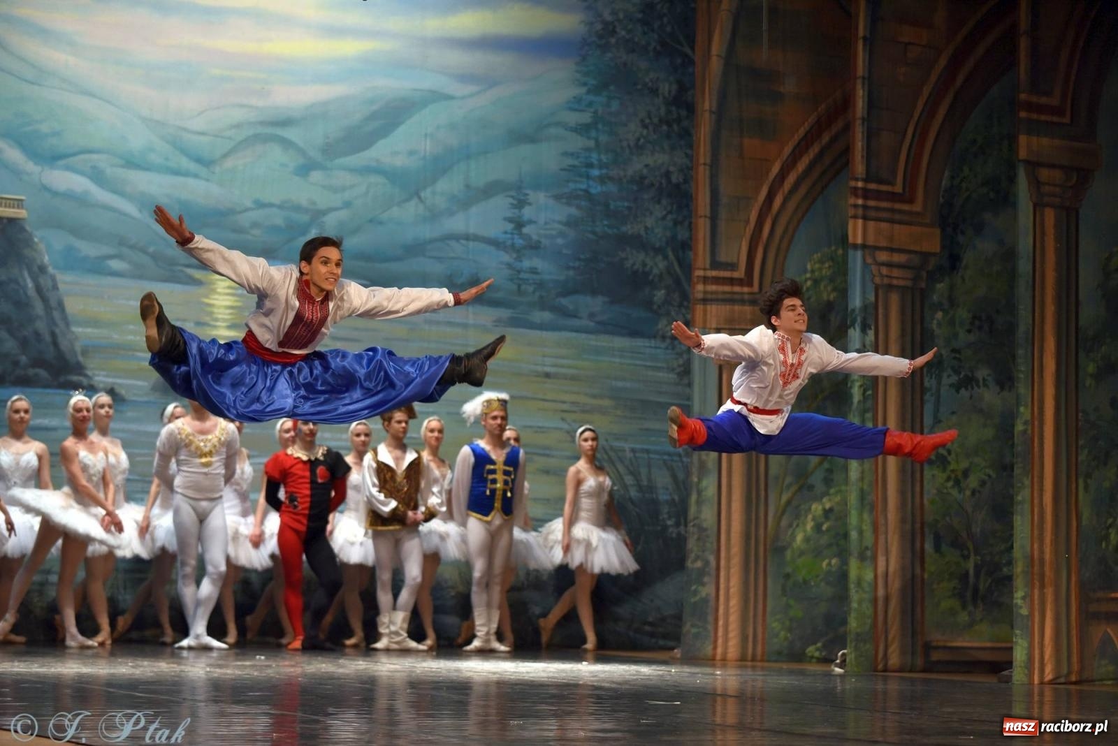 Zdjęcie w galerii na portalu naszraciborz.pl: Royal Ukrainian Ballet z Charkowa wystawił w Raciborzu Jezioro Łabędzie [FOTO i WIDEO] wiadomości z regionu